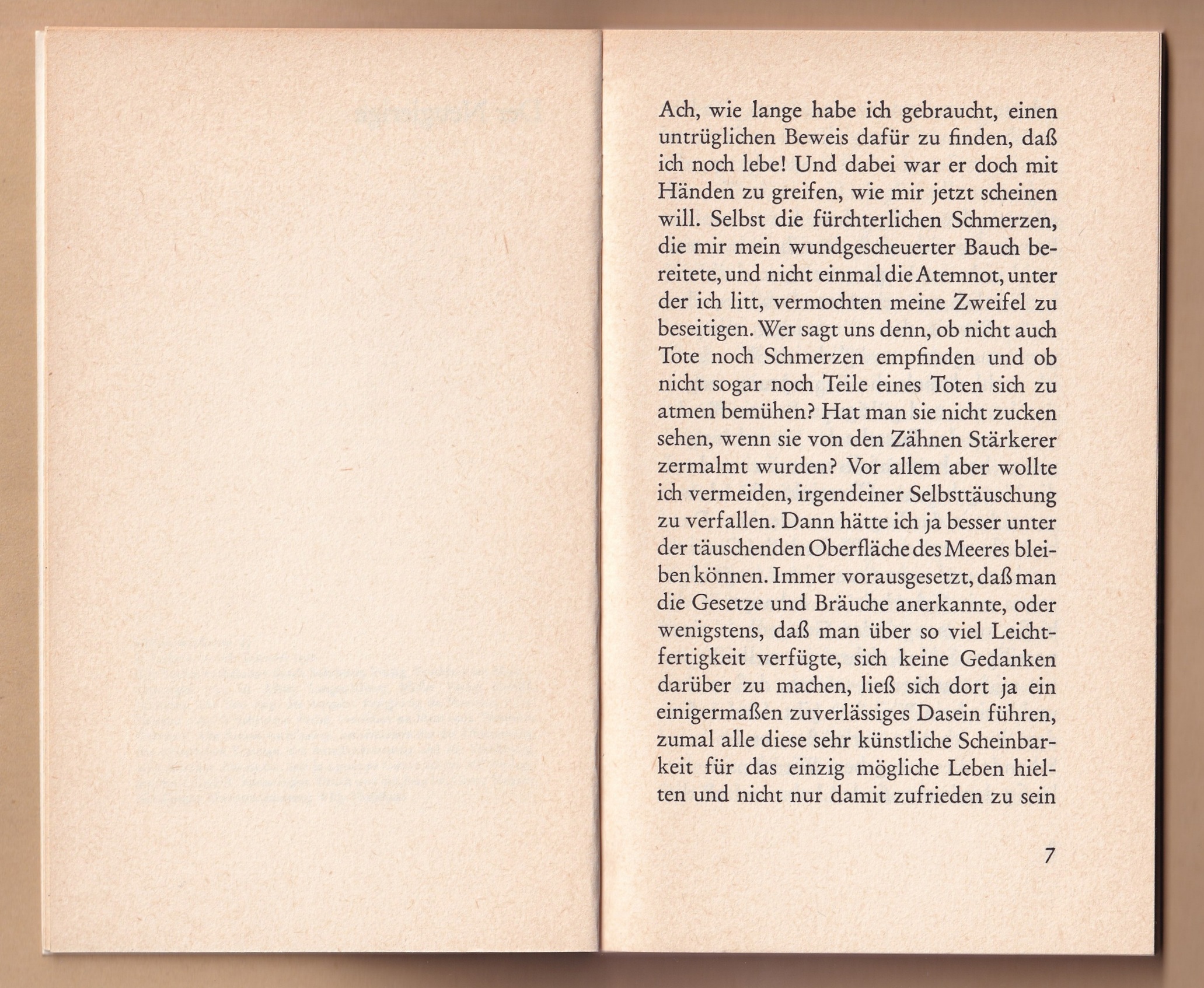 Textanfang: Der Neugierige