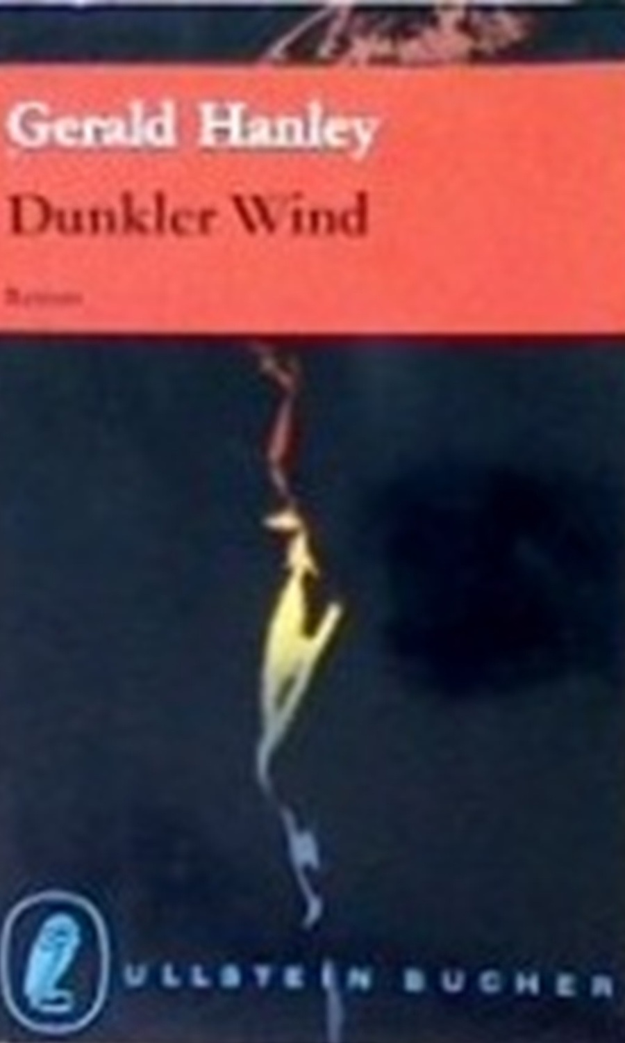 Buchcover: Dunkler Wind